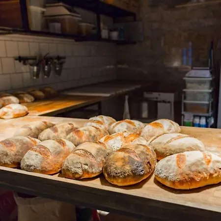 Modern Loft In Center *