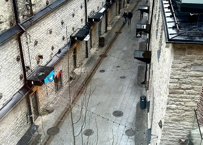 Modern Loft In Center *