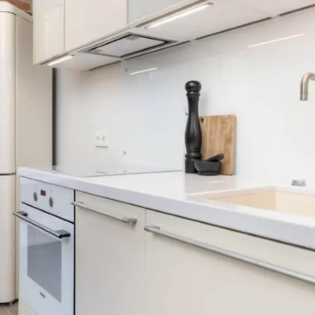 公寓 Modern Loft In Center 塔林